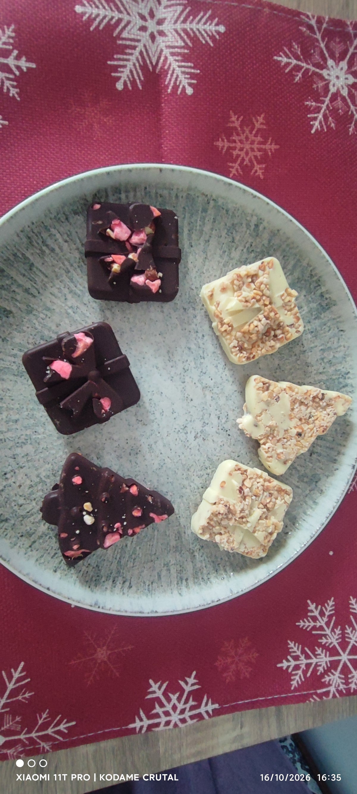 Boîte de 10 Chocolats Artisanal Gourmands – Édition Féerie Festive
